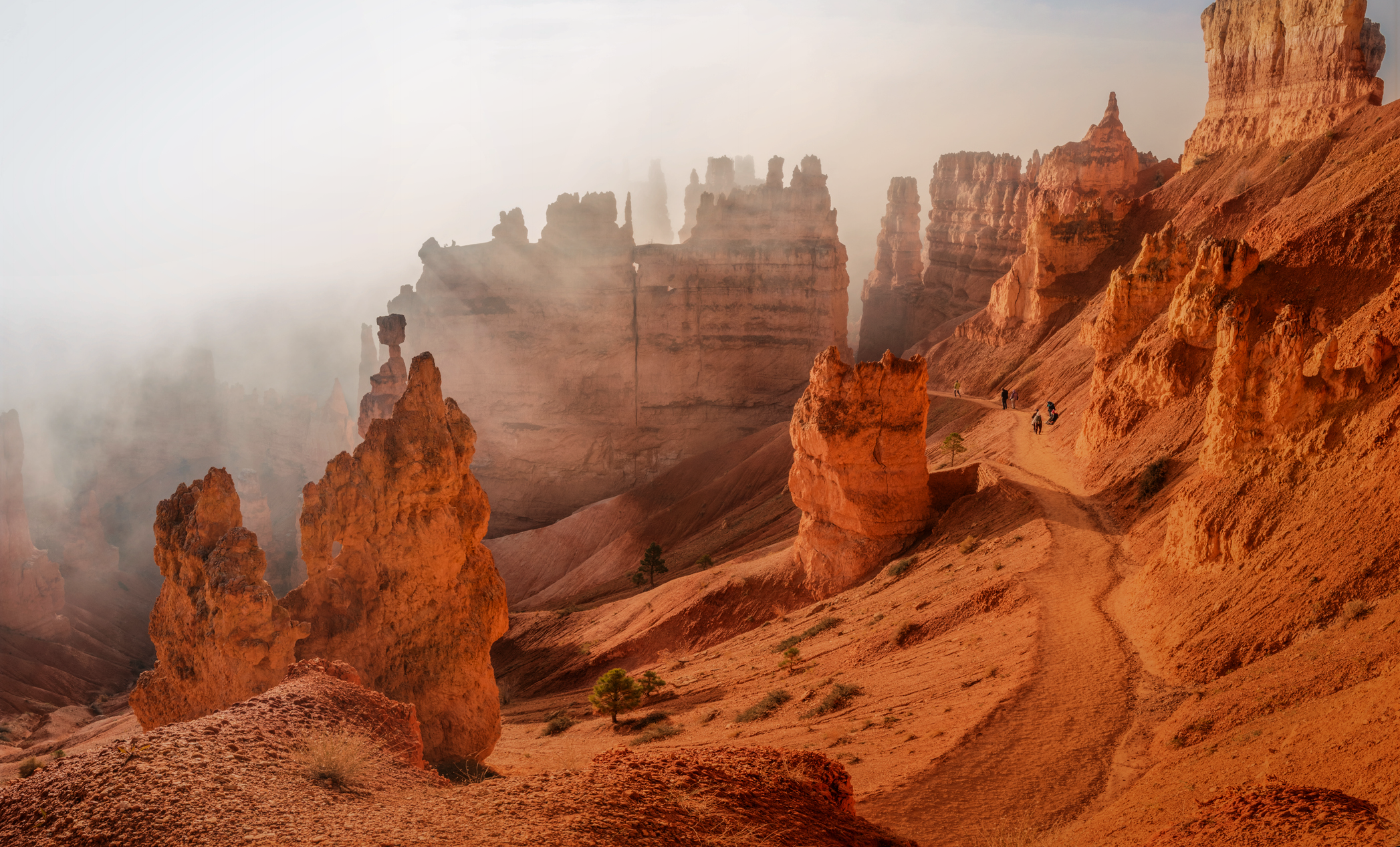Red canyons