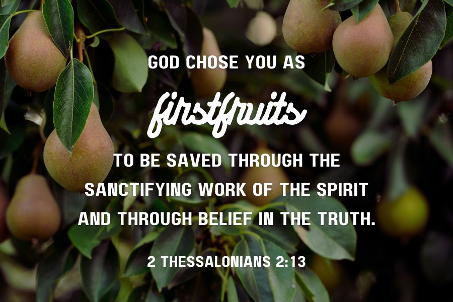 2 Thessalonians 2:13
